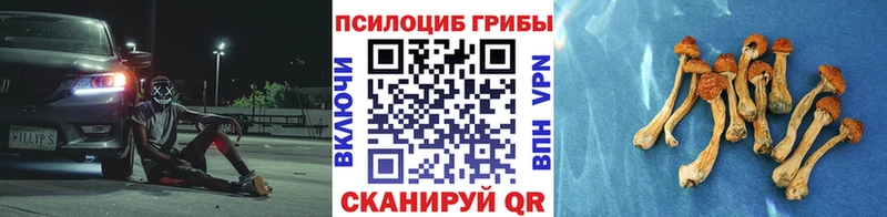 Псилоцибиновые грибы ЛСД  Купить где  Верхняя Салда 